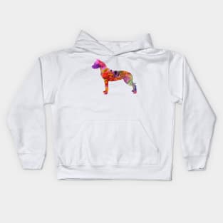 Dogo Argentino  in watercolor Kids Hoodie